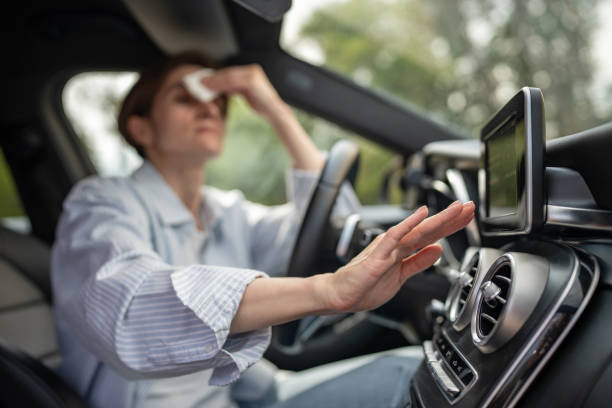 Best Air Conditioning Cleaning in Massanetta Springs, VA